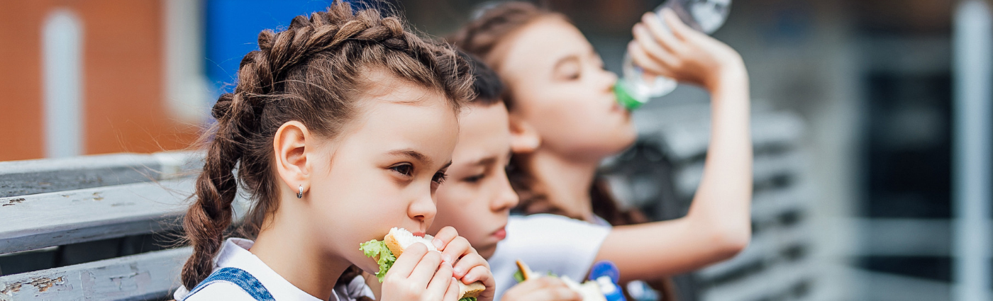 Healthy School Canteens: The guidelines and the challenges