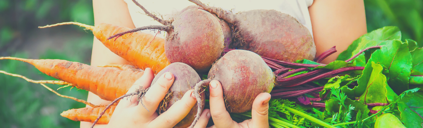 In Praise of Veggie Gardens at School